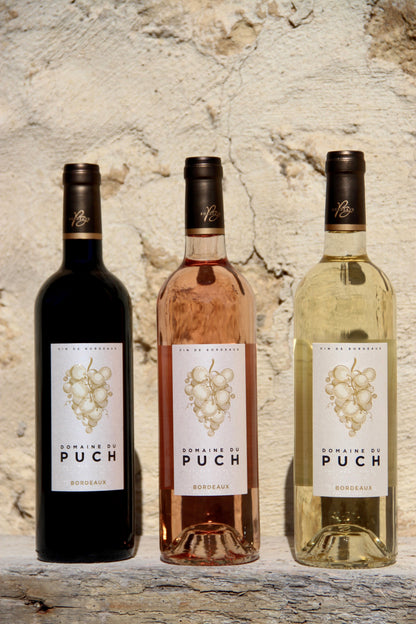 Domaine du Puch, Blanc Sec