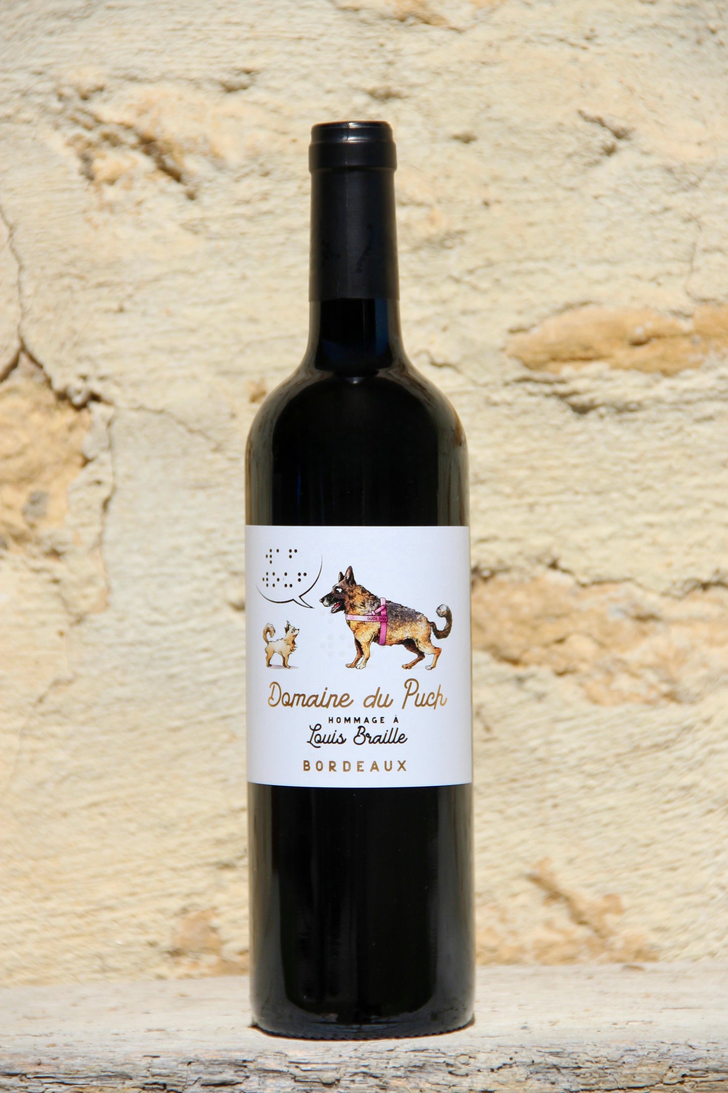 Hommage à Louis Braille