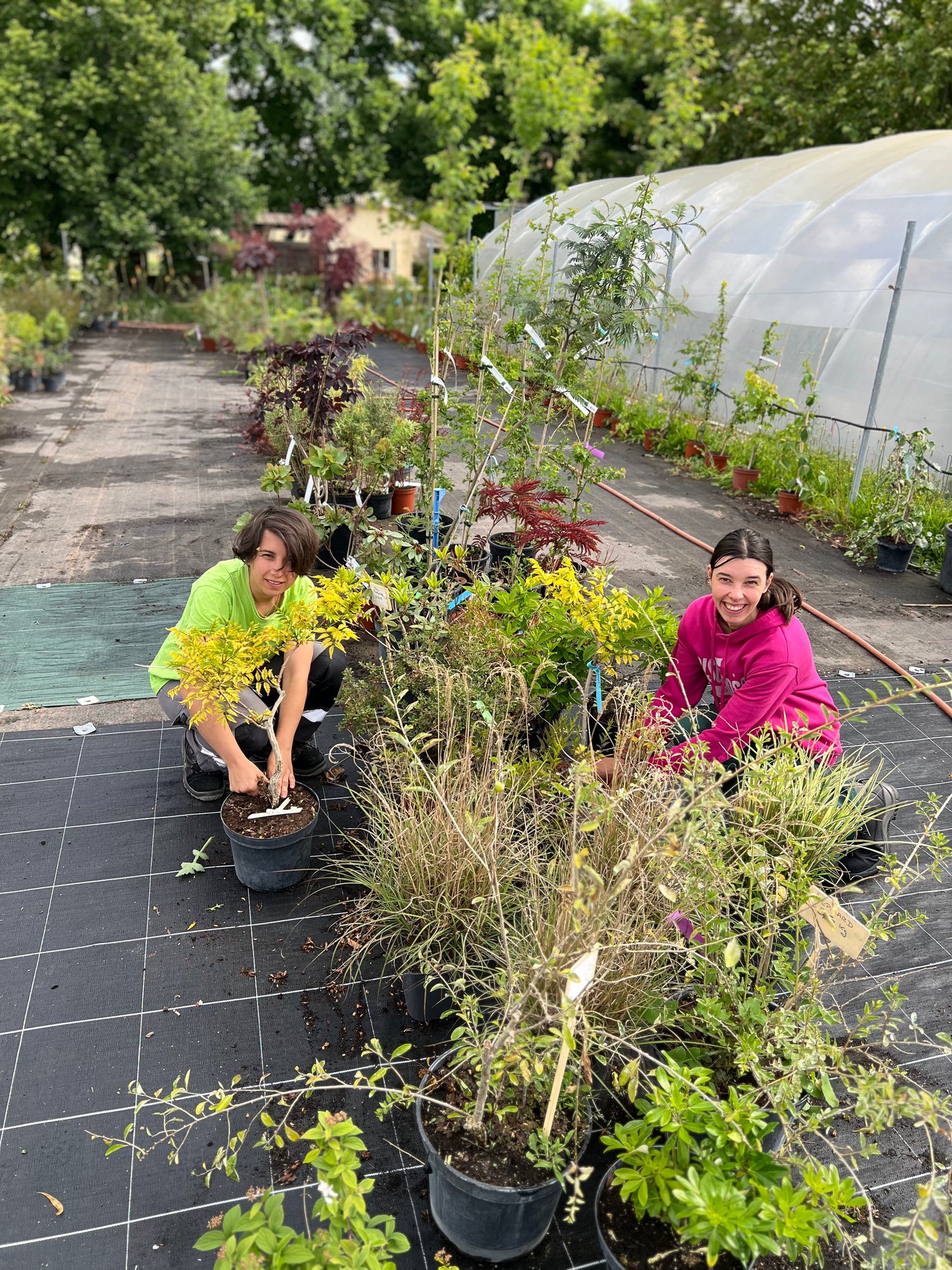 Coline et Clémentine, travailleuse des serres en train d'empoter et de préparer les arbustes pour la saison du printemps.
